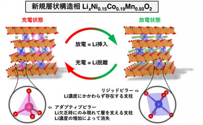 リチウムイオン電池正極の低結晶層状構造を支える2種類の支柱