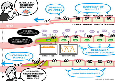 文章を入れてください