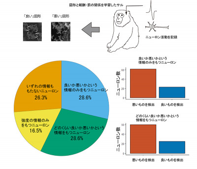 文章を入れてください