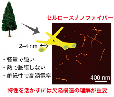 セルロースナノファイバーに生じた原子レベルの欠陥構造を発見～理想的なバイオポリマー材料の生産にむけて～