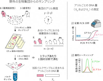 文章を入れてください