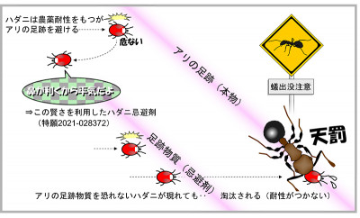 害虫がアリの足跡を避けることを発見～厄介な害虫を天然物質で追い払える可能性を開拓～