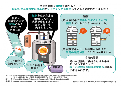 文章を入れてください