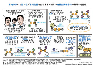 文章を入れてください