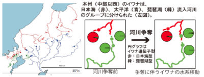 文章を入れてください