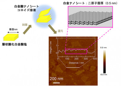 高活性・高耐久な世界最薄の白金ナノシート電極触媒を開発～新奇軸の触媒開発で、FCVなどの飛躍的な普及拡大に期待～