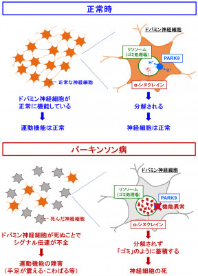 文章を入れてください