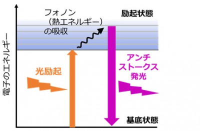 文章を入れてください