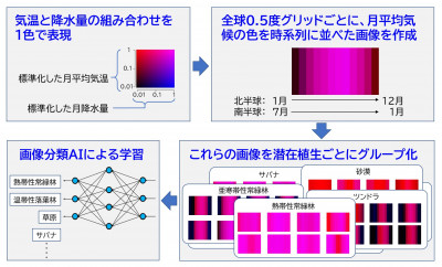 文章を入れてください