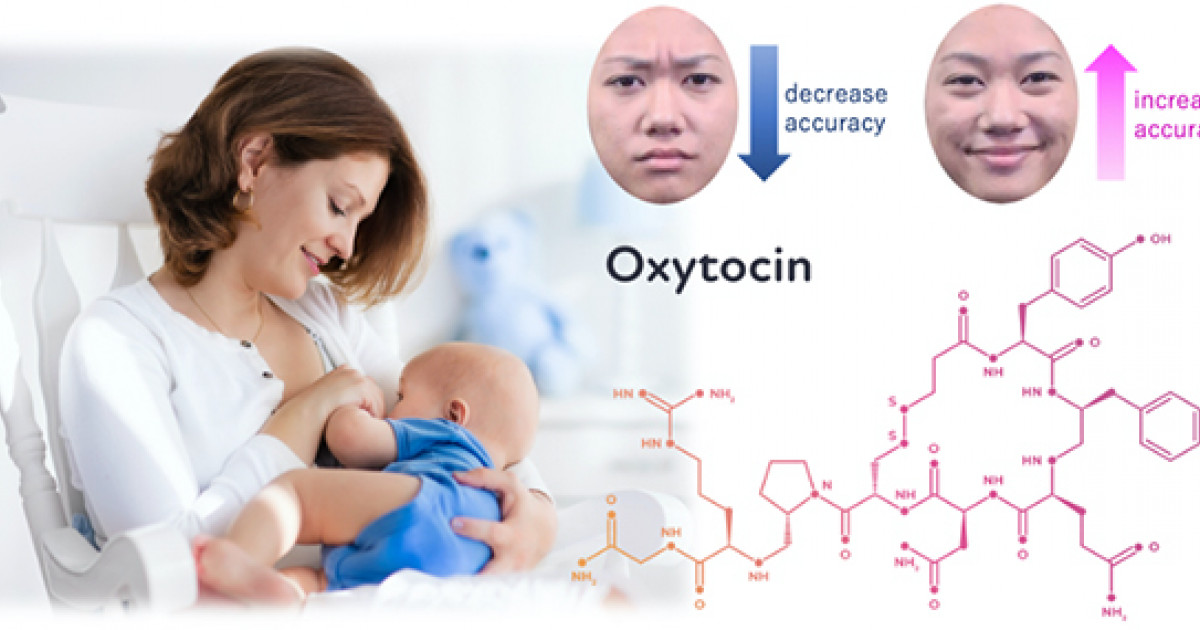 Breastfeeding hormones make mothers happier KYOTO UNIVERSITY