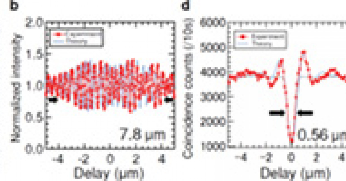 量子もつれ光を用いた、超高分解能光断層撮影技術を開発 | 京都大学