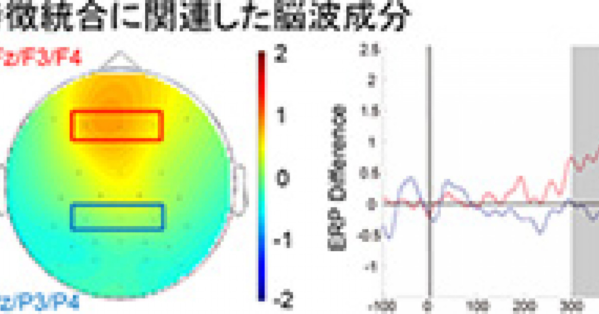視覚認知において色と形の情報が統合される仕組み 位置に依存しない物体記憶の生成 京都大学