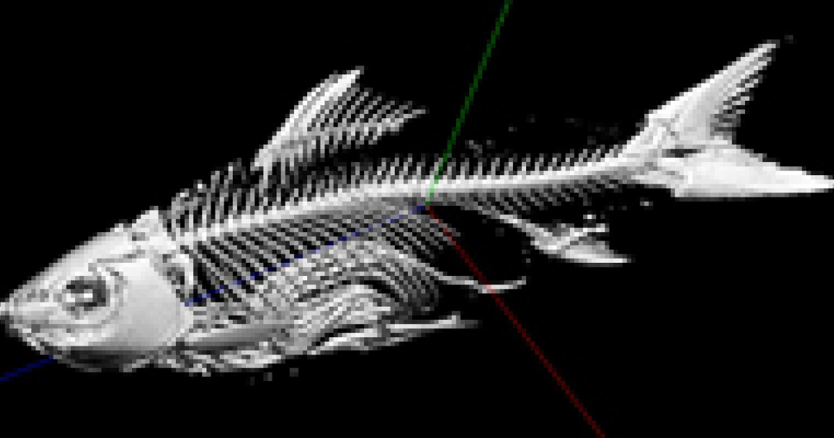 ミャンマーの古代湖インレー湖で一世紀ぶりに魚類相調査 約四割が外来魚 標本の3dモデルもオンライン公開 京都大学