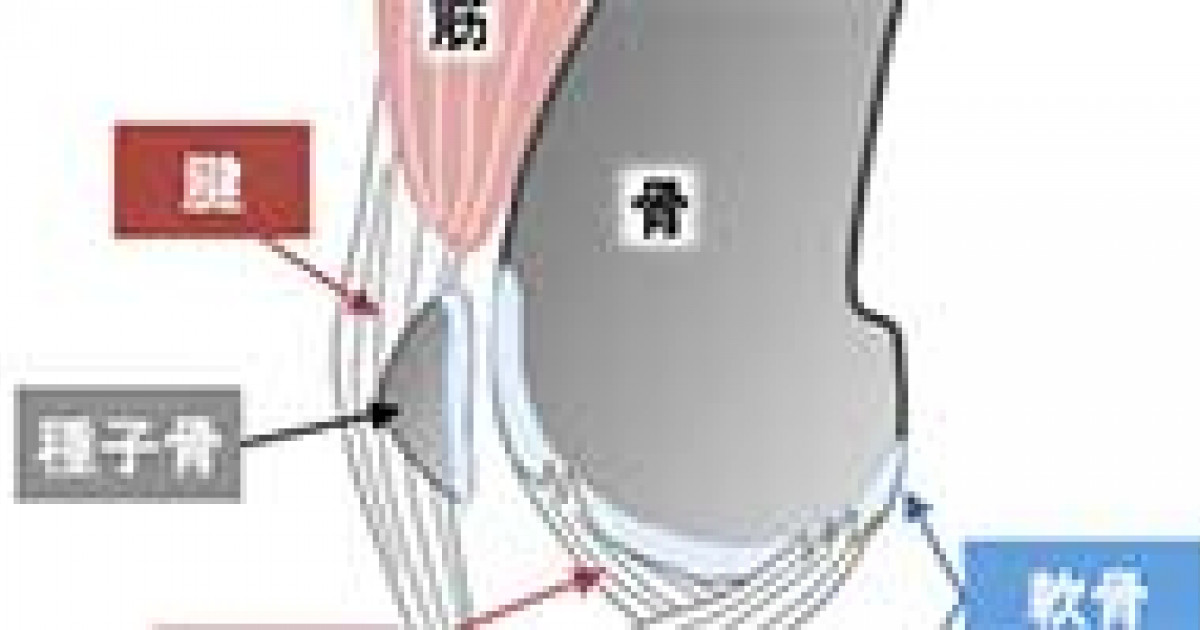 続 運動機能障害症候群のマネジメント頸椎・胸椎・肘・手・膝