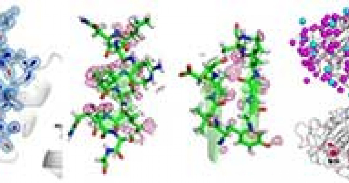 構造医学解析 I 構造医学解析 I