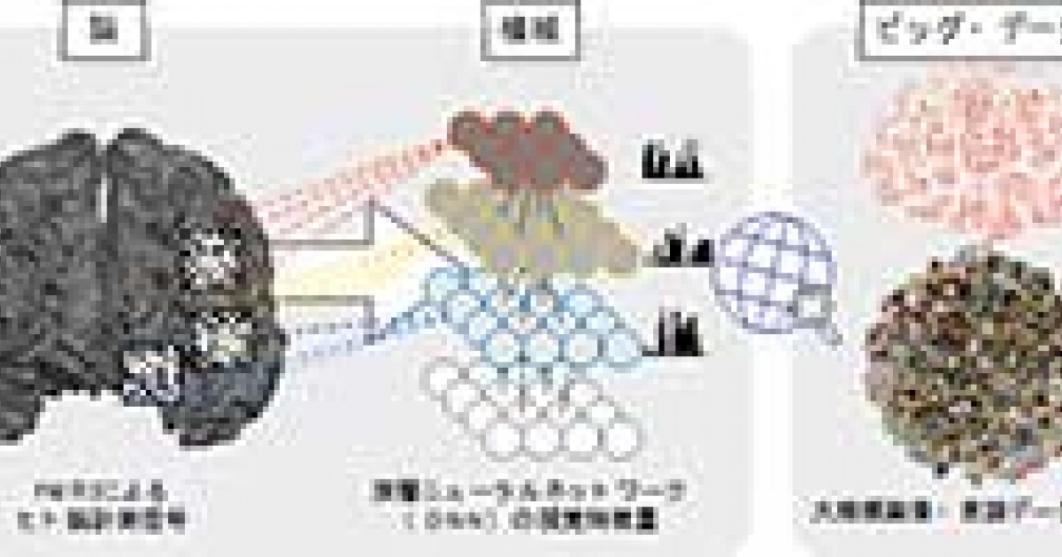 NEUROSIM/Lによるニューラルネットワーク入門 NEUROSIM/Lによるニューラルネットワーク入門 - メルカリ