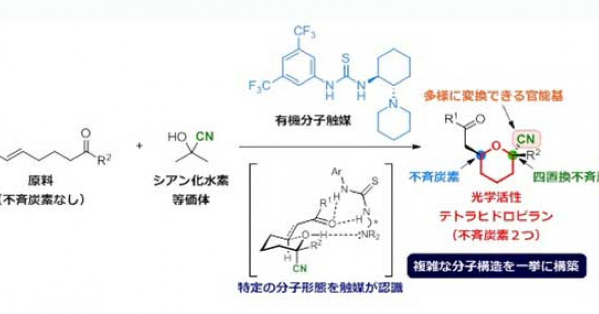 特定の分子にのみ反応する酵素の特徴を応用し精密有機合成を実現 －薬剤候補物質の効率的な合成へ－