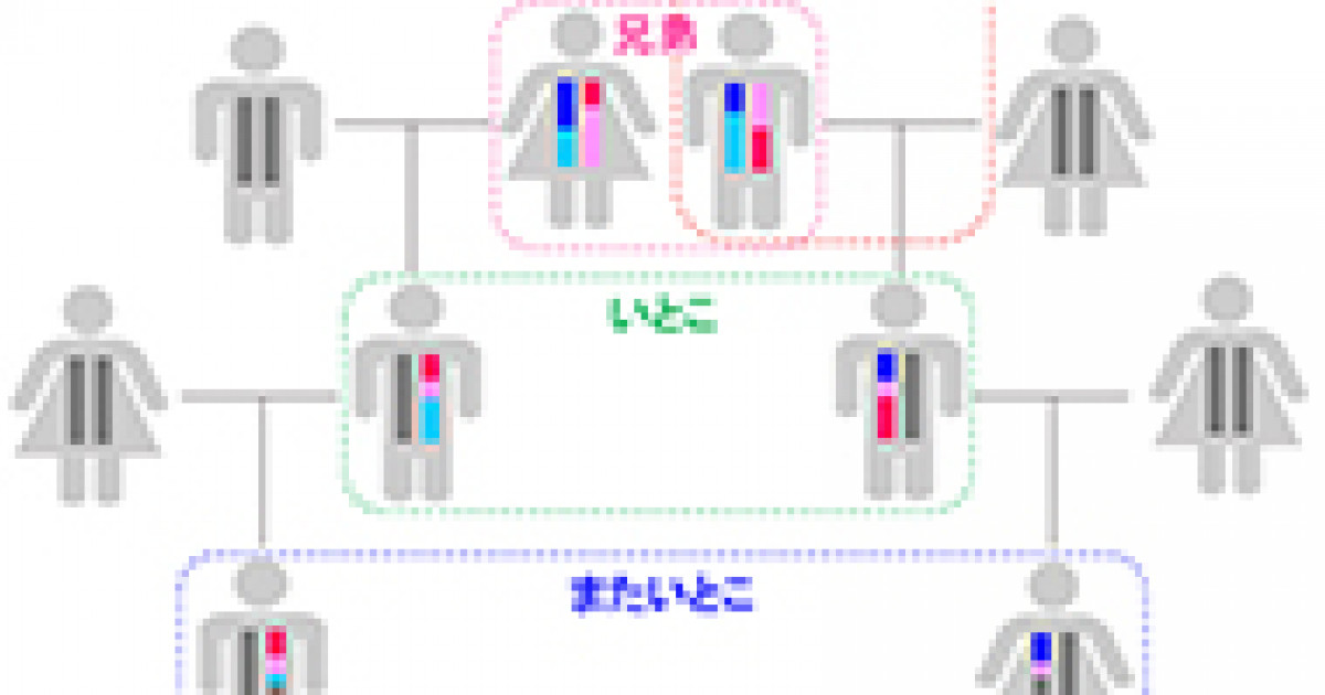 いとこ違い いとこ違い
