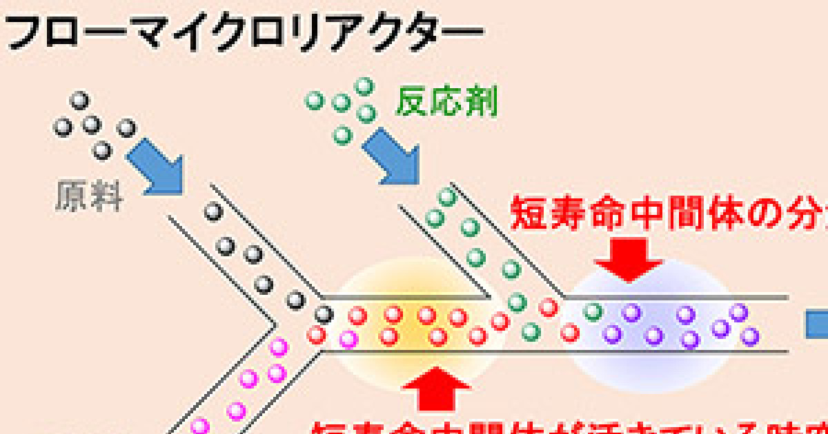 フロー・マイクロ合成: 基礎から実際の合成・製造まで (DOJIN