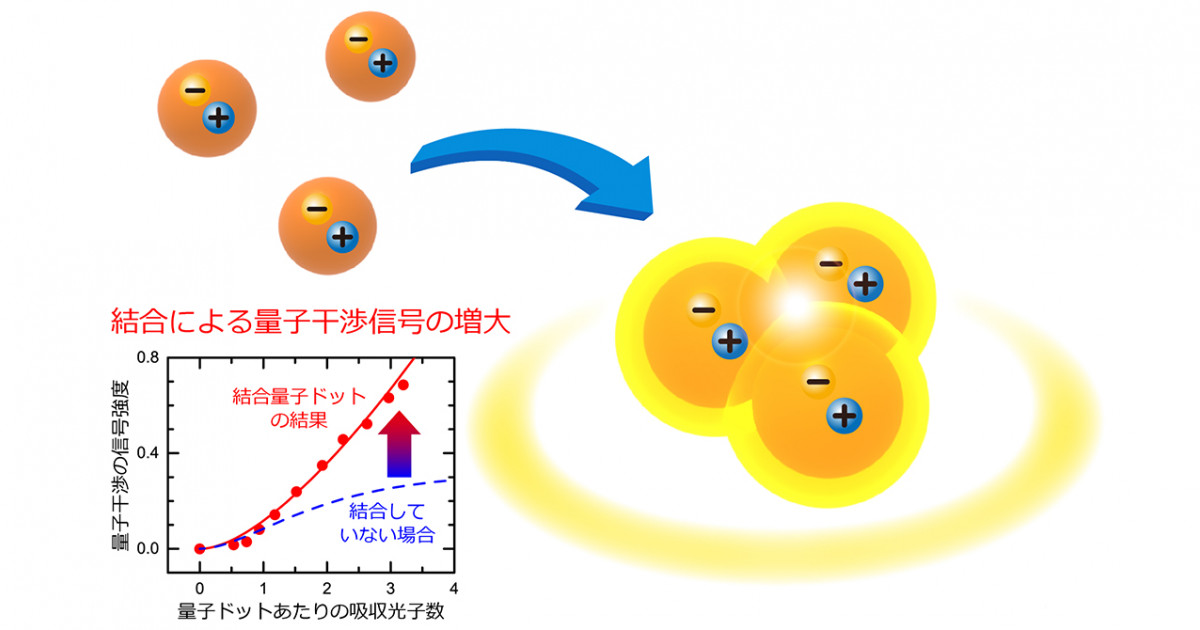 量子調律12面体【東日本量子波動研究所】 東日本量子波動研究所-商品-北