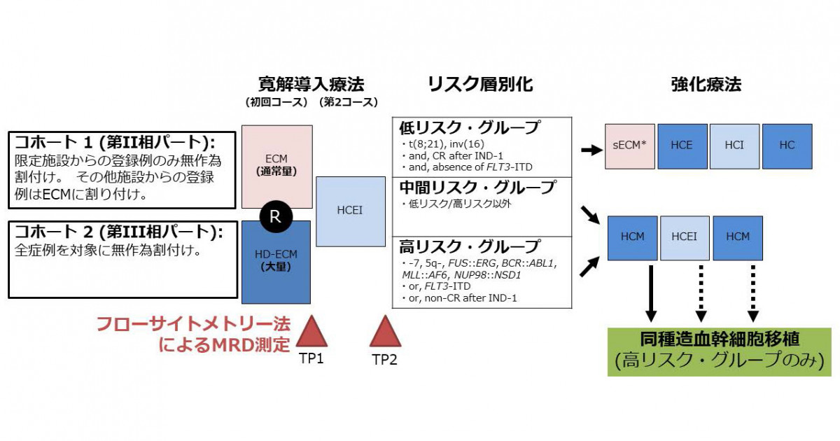 小児の急性骨髄性白血病の治療成績が向上 微小残存病変（MRD）の