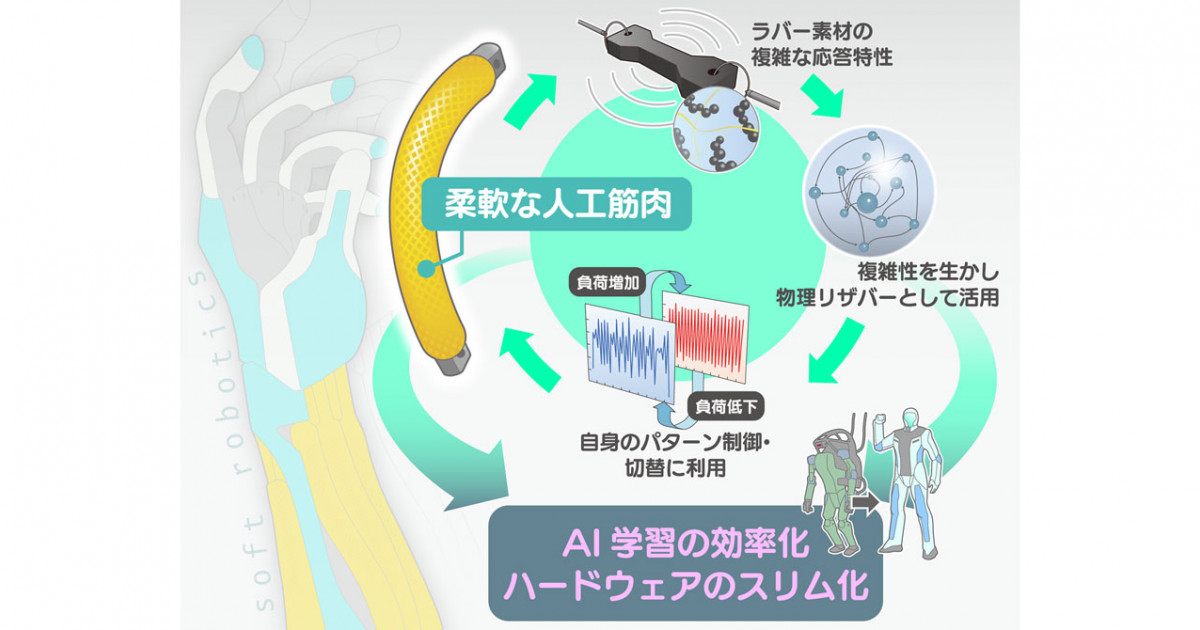 生体の調節機能―ハリの原理をさぐる Amazon.co.jp: 生体の調節機能: ハリの原理をさぐる (中公新書 300