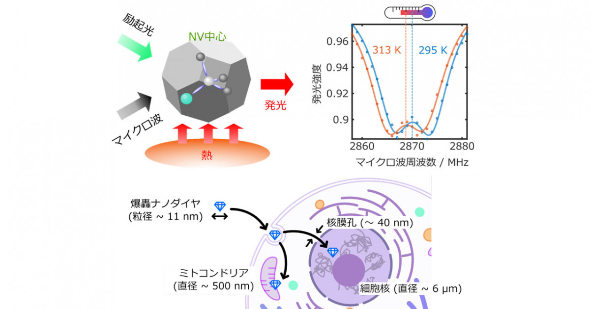 2405_eye_Mizuochi-