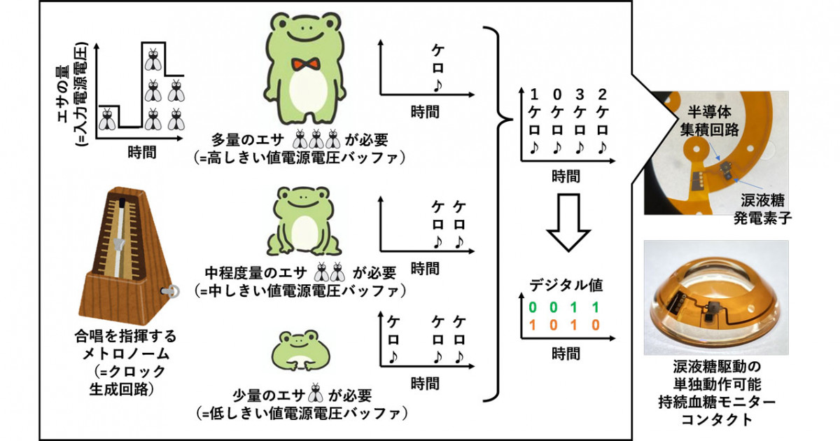 半導体レーザとフォトニクス集積回路 半導体レーザとフォトニクス集積回路 | Larry A.Coldren, Scott