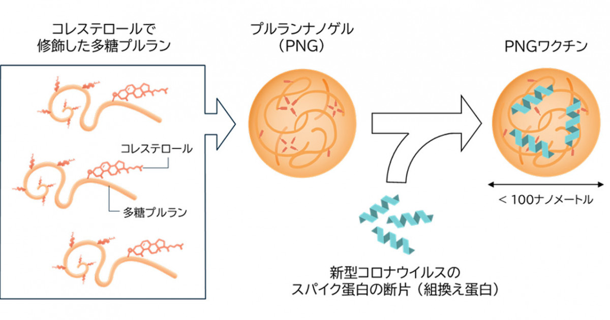 我が国独自のナノ粒子性薬剤送達システムを用いた次世代ワクチンの新型