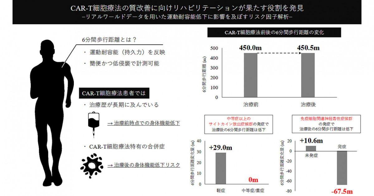 CAR-T細胞療法の質改善に向けリハビリテーションが果たす役割を発見