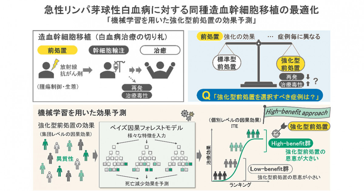 人工知能を用いた造血幹細胞移植の最適化―急性リンパ芽球性
