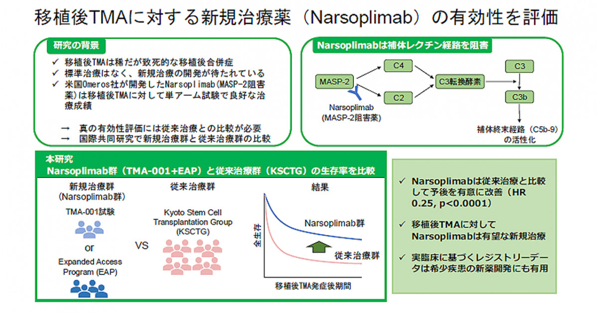 移植後TMAにNarsoplimabが有効―移植後TMAに対する新規治療薬の有効性を