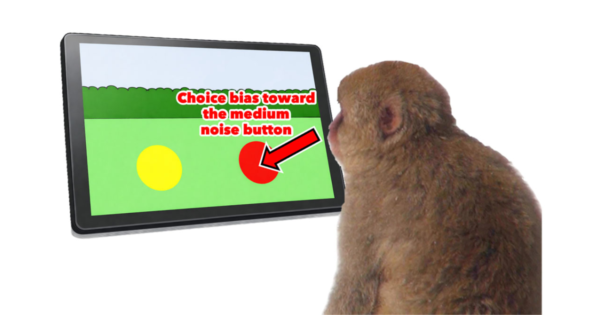 Gaming Monkeys’ Curiosity