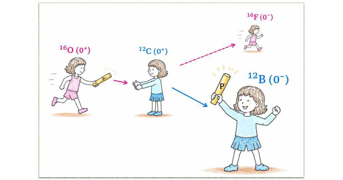 原子核の深い構造を「のぞき窓」から観察する新手法を実証―パイ中間子やニュートリノの謎に迫る研究への応用に期待―