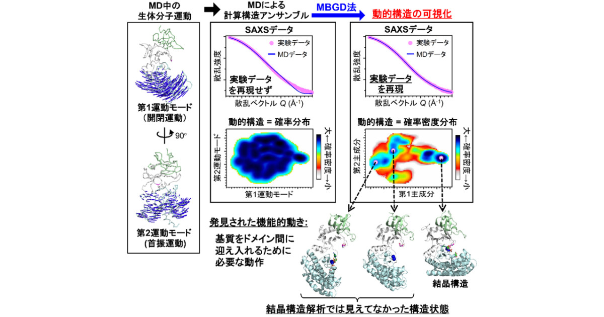 実験データから「見えない内部状態の分布」を再構成する新手法を開発―情報幾何の応用により、生体分子の動きの可視化に成功―