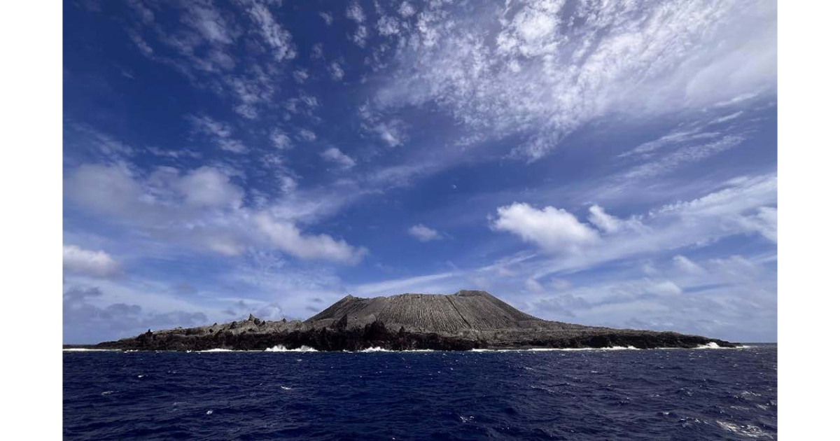 西之島で噴火後初の植物の生育を確認：コケ植物とシダ植物が切り開く