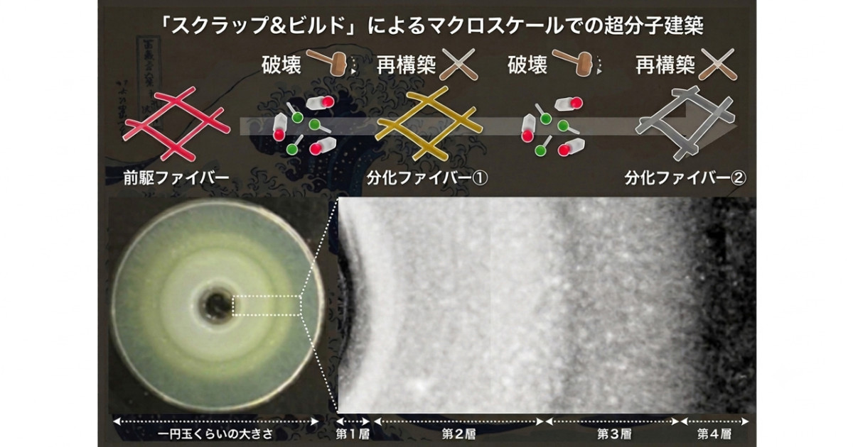 生物みたい!材料が自分で形を変える新技術