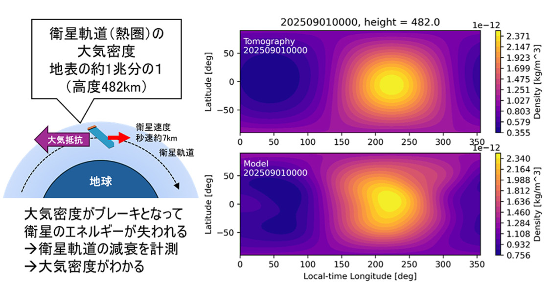 天然記念物ヒブナの起源を解明―クローン繁殖のはずなのにキンギョと交雑― | 京都大学
