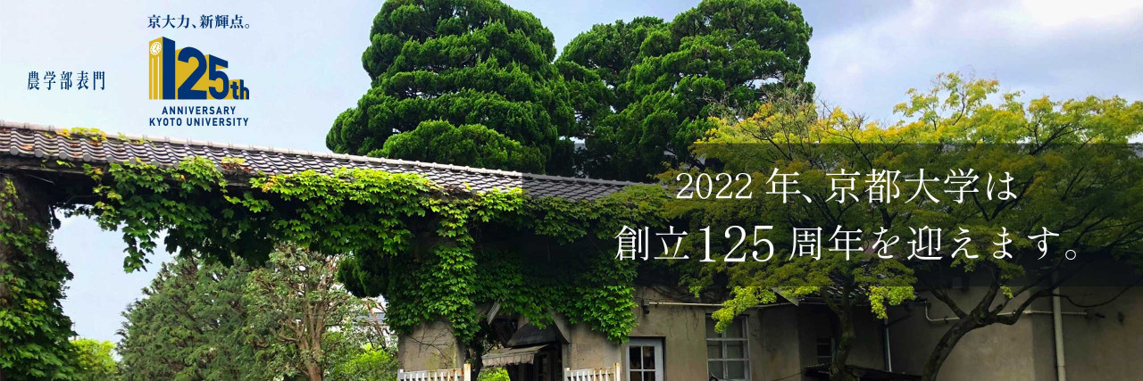 京都大学