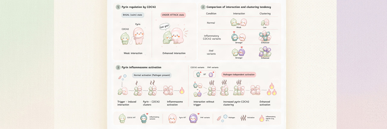 Two New Studies Uncover the Molecular Trigger of Pyrin Inflammasome Hyperactivation