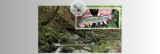 Revealing the effect of seasonal timing of resource subsidies on an organism's life-history