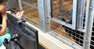 本研究の概要図