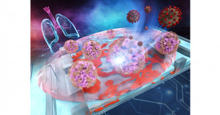 Using a microscopic multi-organ model system to understand bronchi-vasculature interactions during SARS-CoV-2 infections