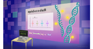 New tool helps decipher gene behaviour