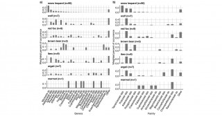 完全肉食のネコ科動物が植物を摂取する理由とは？ 野生ユキヒョウの糞中に含まれる餌動物と植物の関連性を評価―ユキヒョウの行動生態の解明、保全への貢献に期待―