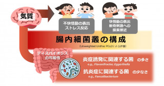 幼児期の気質は腸内細菌叢と関係する―心身の健康づくりを生後早期から始める取り組みを目指して―