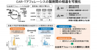 臓器移植後の拒絶反応を引き起こす抗体の発生は、移植前に高精度