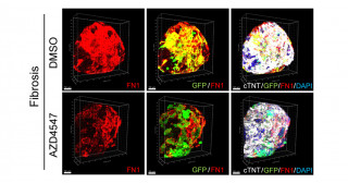 タグ別一覧 | 京都大学