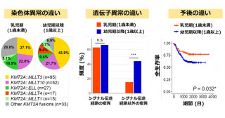 乳児期と幼児期以降で異なる白血病の特徴―小児急性骨髄性白血病の年齢別解析で新知見―