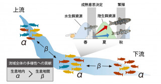 ガン療法―ガンとの共存と自然治癒への道 ヨドバシ.com - ガン療法―ガンとの共存と自然治癒への道 [単行本
